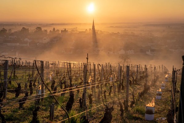 Quel est le meilleur moyen d'explorer les vignes en terrasses de la Vallée du Rhin, Allemagne?